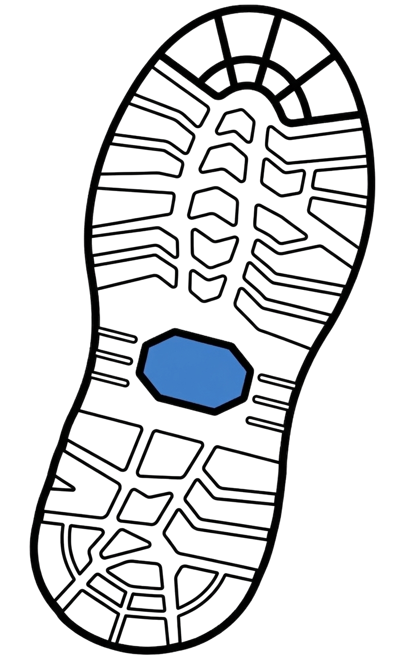 Step Quiz